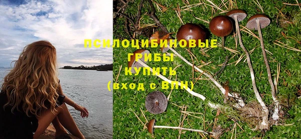 герыч Верхний Тагил